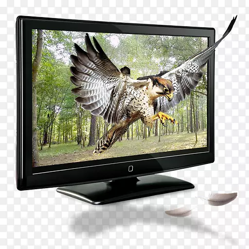高清晰度电视数字电视机.创意电视元件