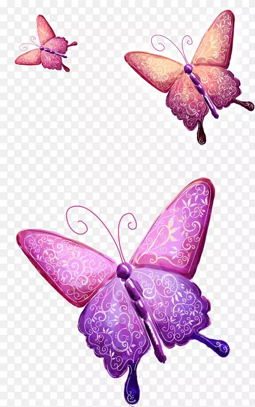 花卉设计绘画插图-蝴蝶