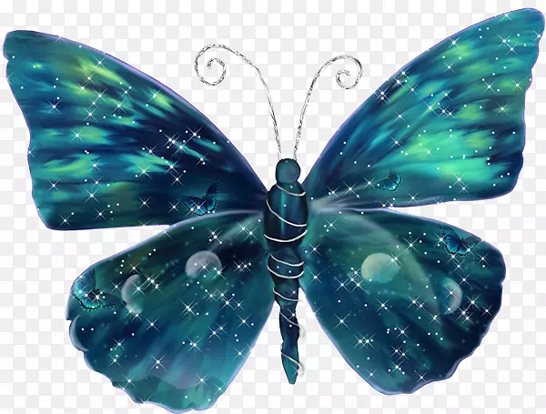 彩色蝴蝶和昆虫蝴蝶-蝴蝶