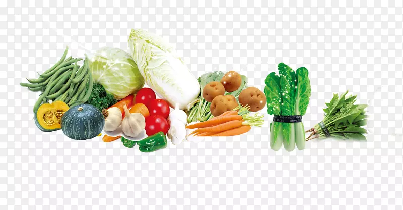 叶菜素菜菜系萝卜大白菜新鲜蔬菜元素