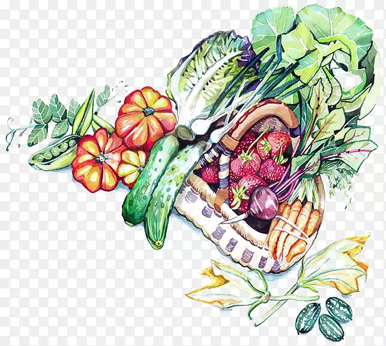植物水彩画花卉设计插图.手绘水彩画蔬菜