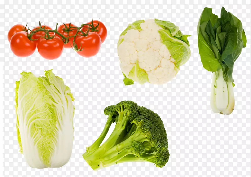 生食排泄物维生素b-6蔬菜新鲜蔬菜