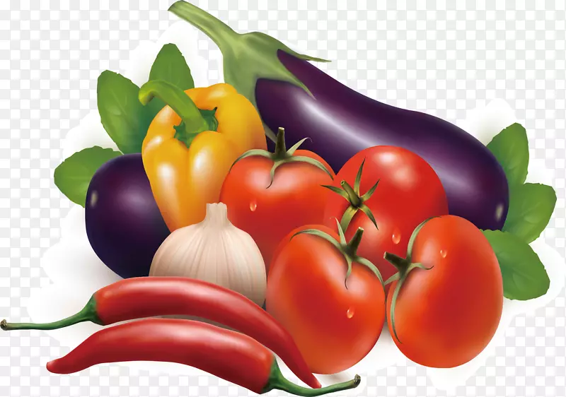 蔬菜水果胡萝卜插图.蔬菜元素