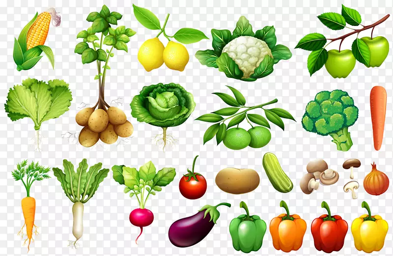 蔬菜图-大泉蔬菜