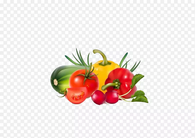 蔬菜水果插图-新鲜蔬菜