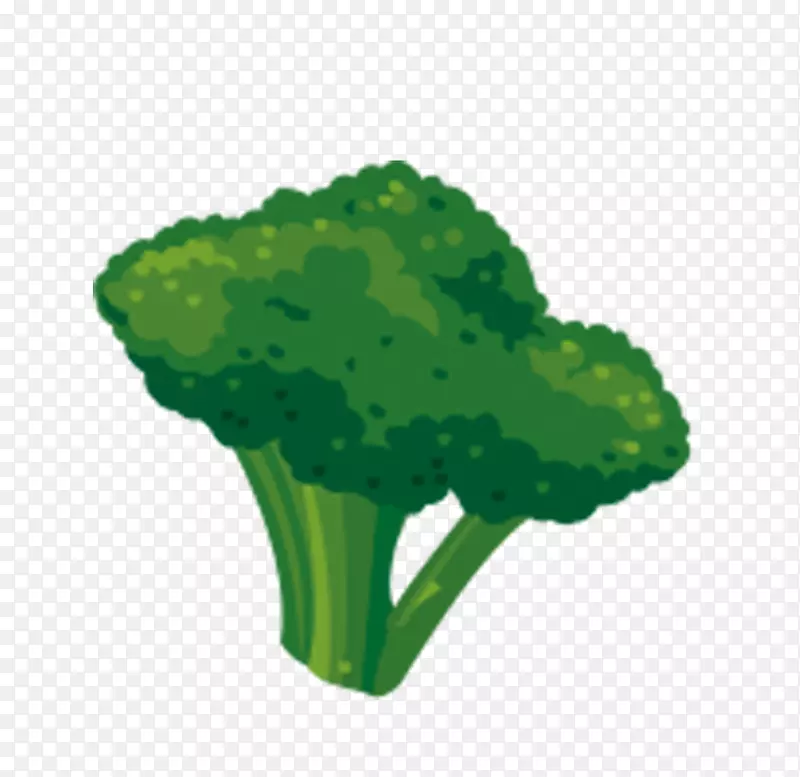 碳水化合物植物提取食品载体绿色蔬菜