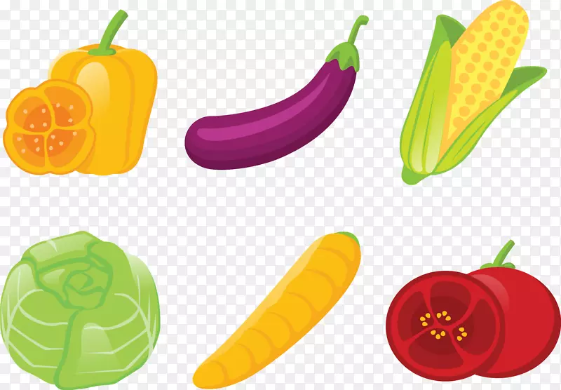 蔬菜插图.插图蔬菜