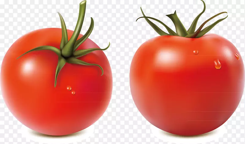萨尔萨番茄免版税插画.季节性蔬菜装饰