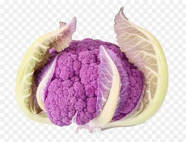花椰菜砧木摄影紫色-留下蔬菜材料