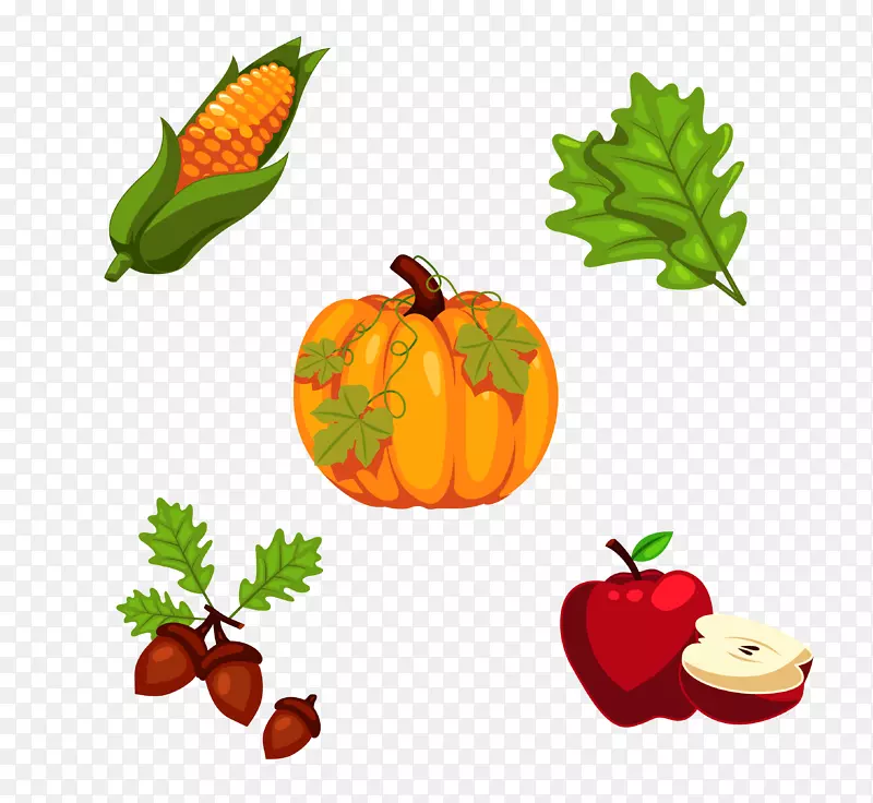 火鸡感恩节南瓜派-水果和蔬菜