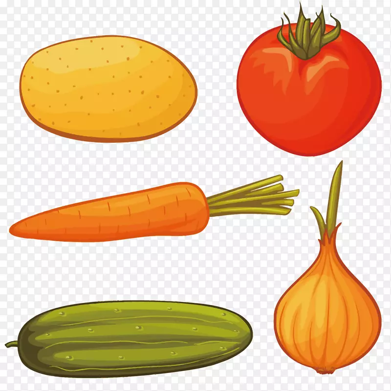 胡萝卜，洋葱，无公害蔬菜