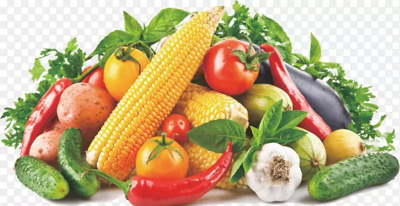 蔬菜减肥食品，饮食，茄子.水果和蔬菜的收集