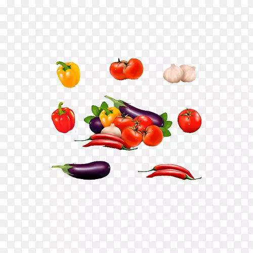辣椒、大蒜、铃椒.蔬菜手绘图