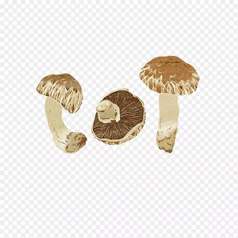 香菇素描食品蘑菇手绘写实蔬菜