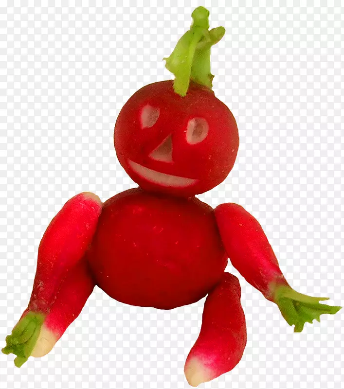 台康花园萝卜番茄蔬菜芦苇-蔬菜萝卜娃娃装饰品