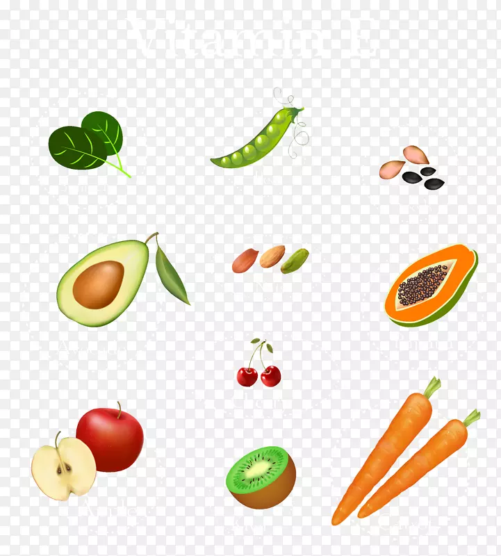 蔬菜水果烹饪剪贴画-水果和蔬菜设计