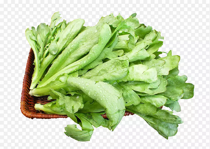 素食料理春菜式菜篮子蔬菜