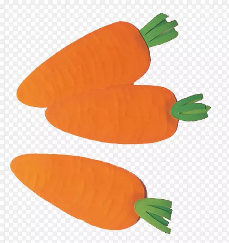 胡萝卜蔬菜插图.插画蔬菜