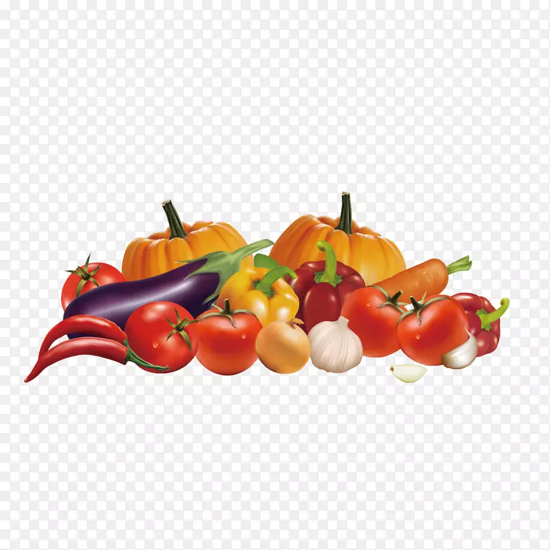 果汁有机食品保健食品说明.载体水果和蔬菜