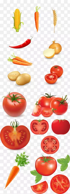 樱桃番茄炒鸡蛋蔬菜各种元素蔬菜