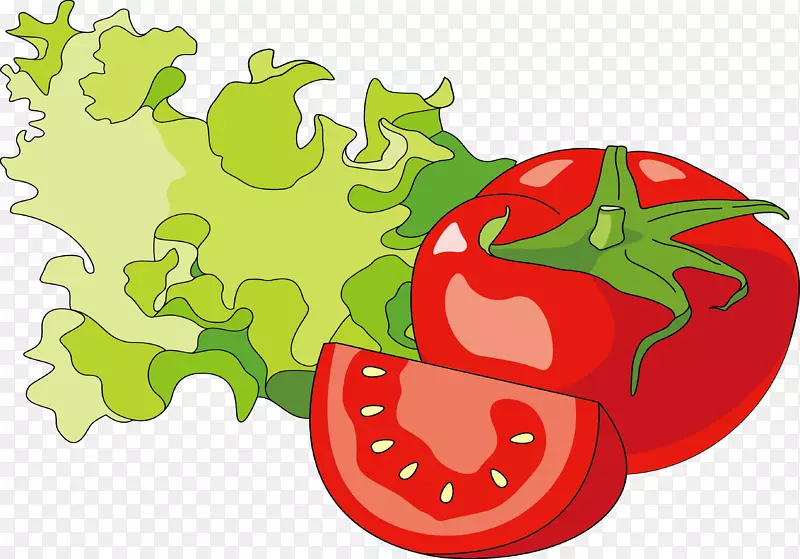 热狗汉堡番茄插图.蔬菜载体材料