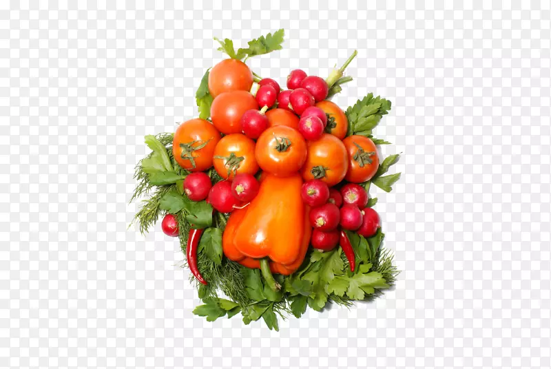 番茄有机食品蔬菜沙拉-红色蔬菜