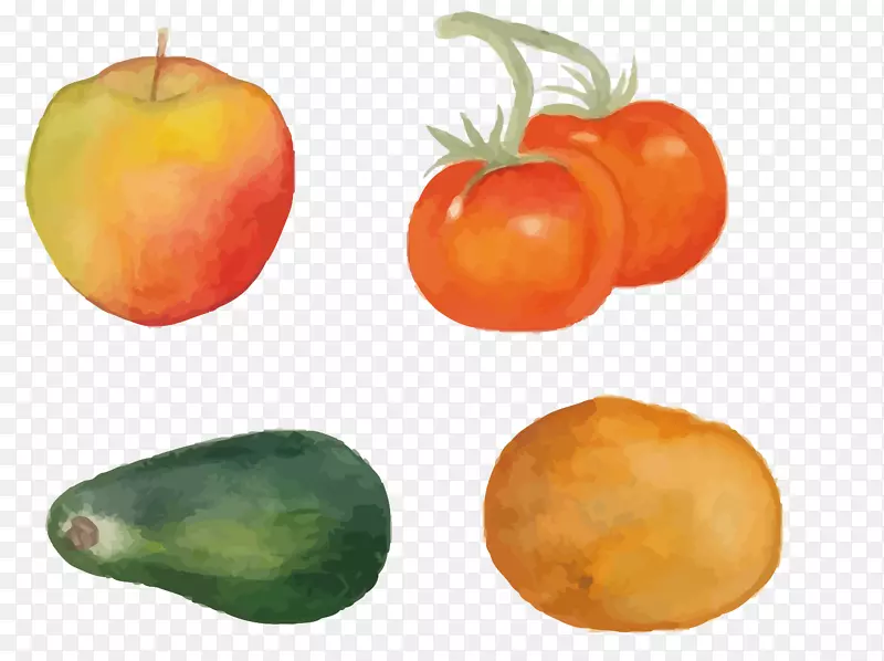 番茄素食料理柿子食品蔬菜和水果