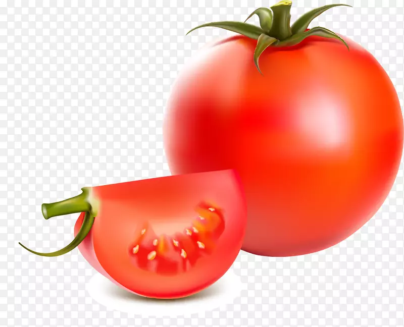 蔬菜水果番茄剪贴画.水果和蔬菜载体材料