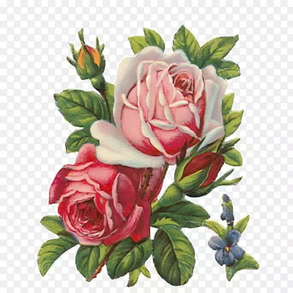 玫瑰围裙，旧服装剪贴画-油画玫瑰