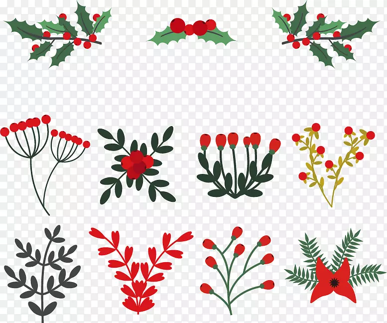 冬季剪贴画-11种冬季花卉