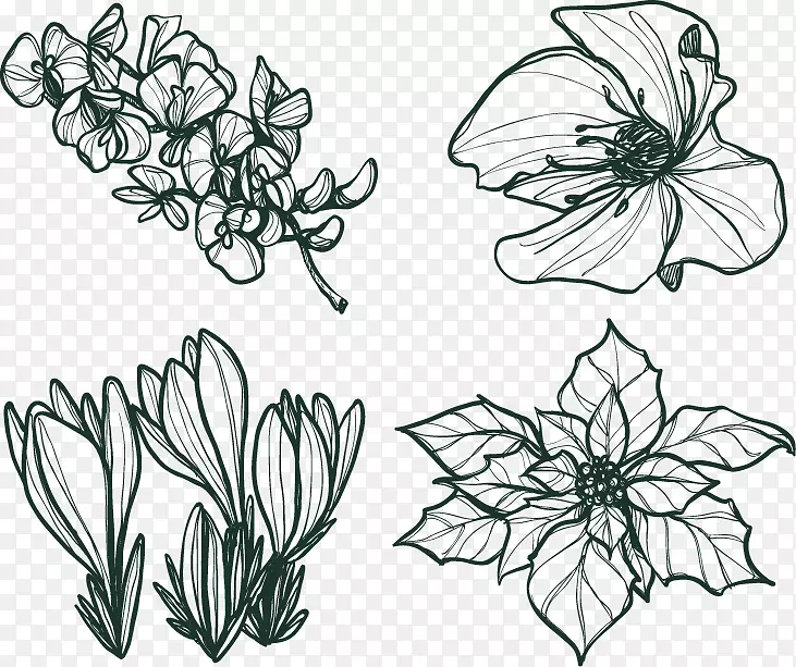 花卉一品红冬季-四种手绘花卉图案冬季