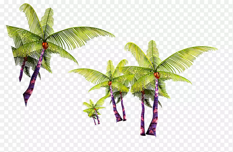 椰子树槟榔科-绿色简单椰子树装饰图案