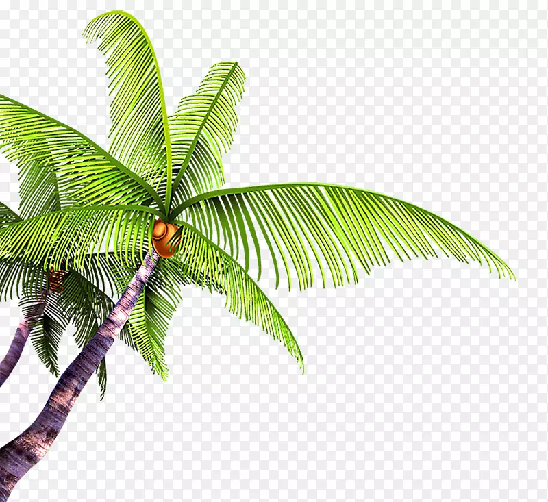 夏日海报海滩-新鲜椰子