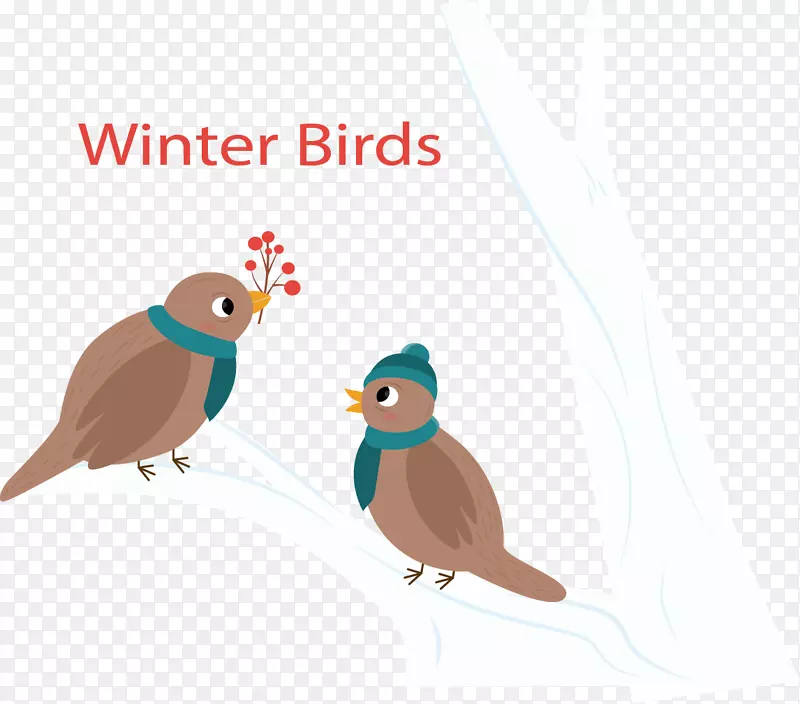 鸟类冬季-冬季树枝上的鸟类