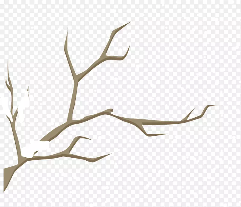 雪冬-冬枝