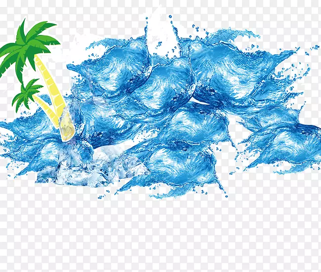 海水喷淋椰子