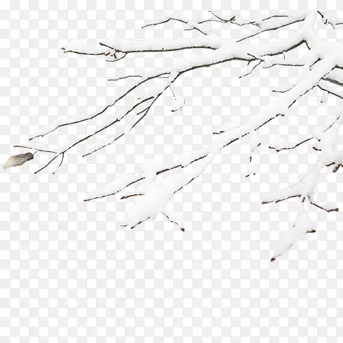 冬日黑白白雪-冬枝