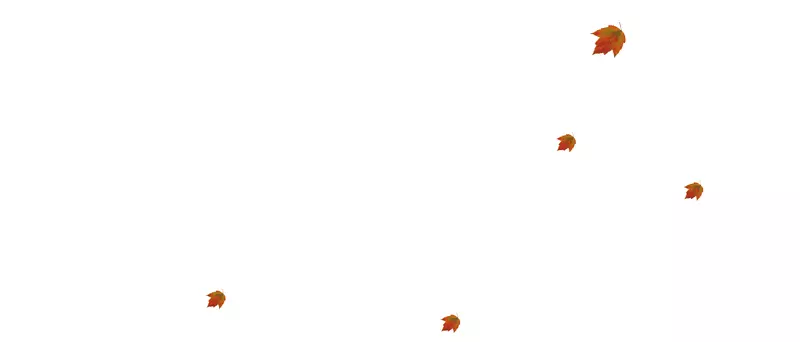 天空电脑壁纸-枫叶在秋冬飘浮