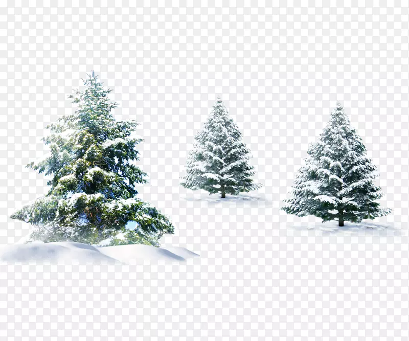 北极熊圣诞树-礼物，包裹，雪，冬天，节日