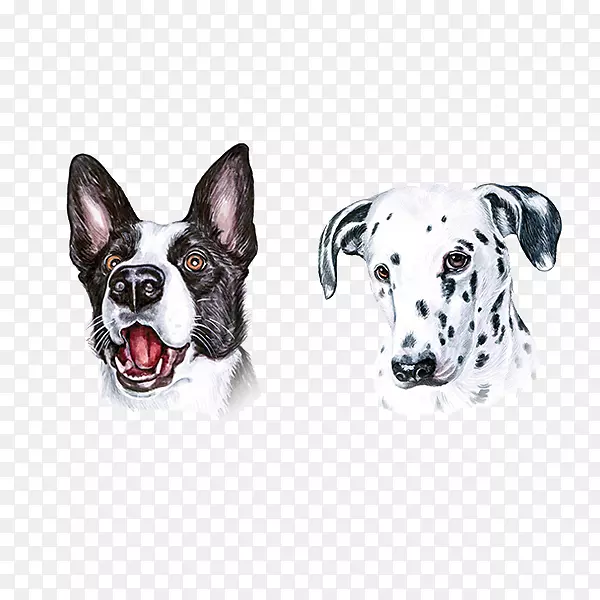 狗画家插画插图-可爱的斑点狗