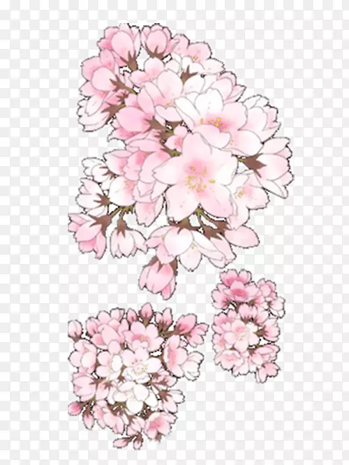 金海花卉设计樱花图-漂亮樱桃