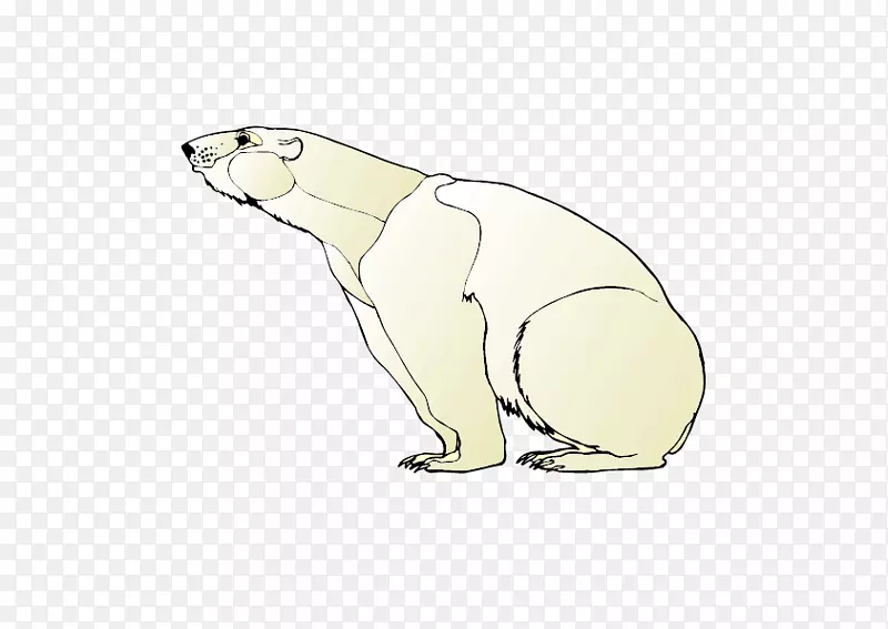 北极熊无耳海豹水獭兔手绘熊