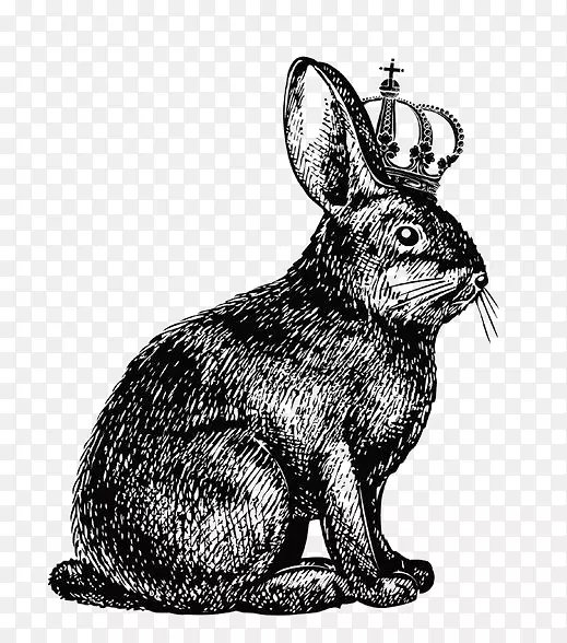 兔跳画兔-冠兔