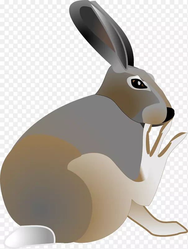 复活节兔子北极兔剪贴画看兔子