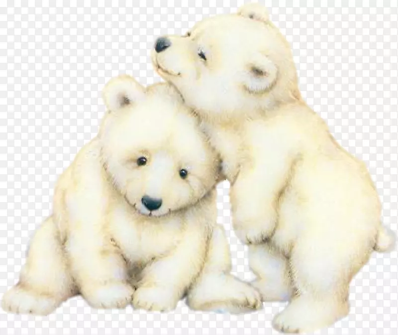 北极熊幼崽大熊猫棕熊手绘白熊