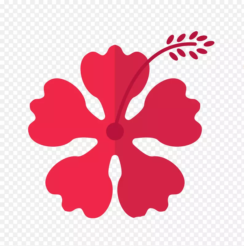 夏威夷粉红色花-夏威夷粉红色花