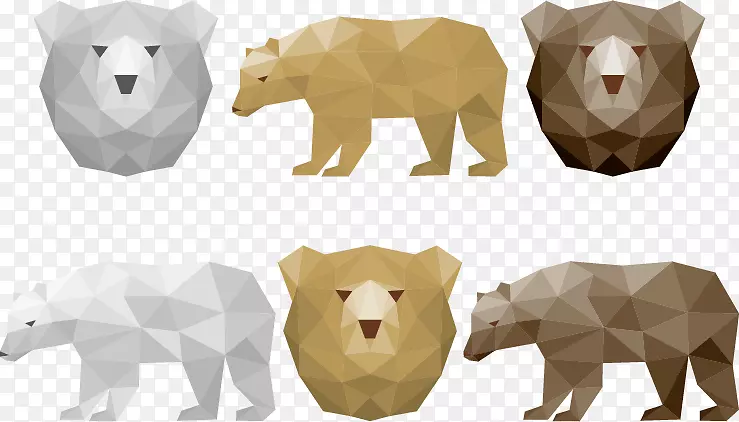 北极熊棕熊几何学-熊几何学