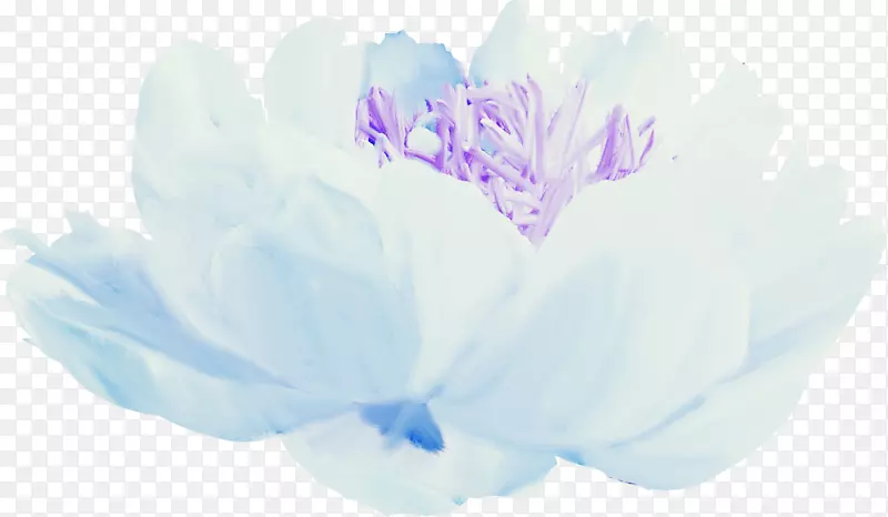 花瓣蓝花设计.水彩花