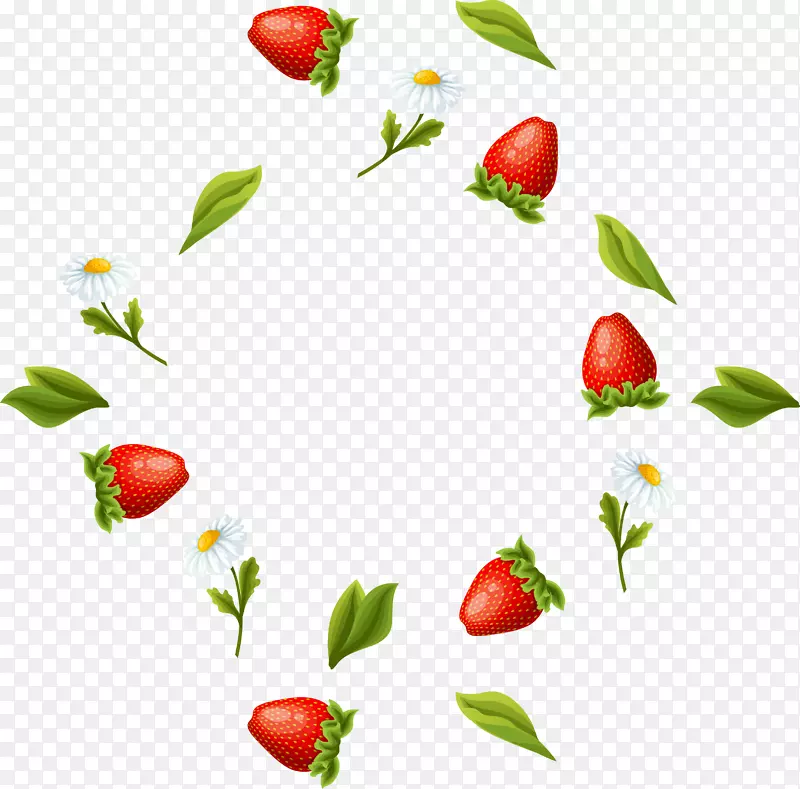 明胶甜品果酱水果保存草莓-草莓花和叶子漂浮的材料。