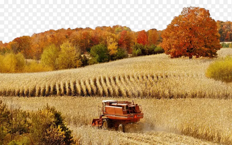 农业高清晰度电视领域高清视频壁纸-收获秋色三美